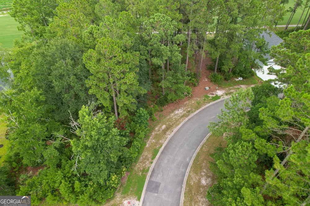 0 Lone Pine CT Waverly, GA 31565