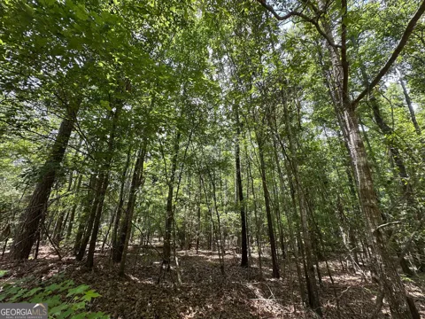 9.82 +/- ACRES Springfield RD