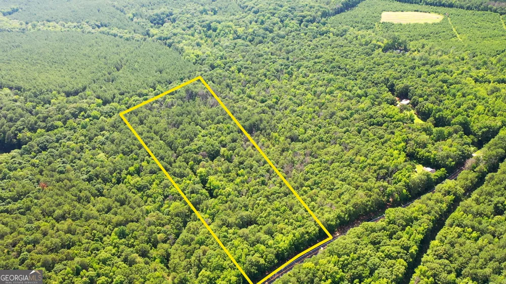9.82 +/- ACRES Springfield RD Sparta, GA 31087