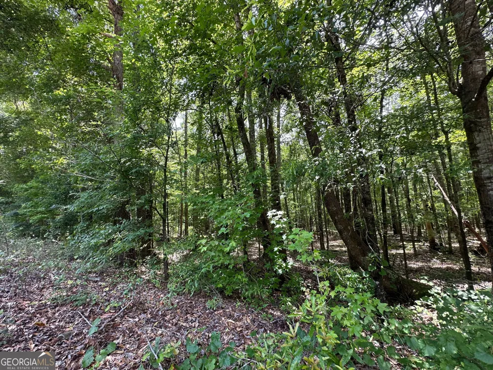 9.82 +/- ACRES Springfield RD Sparta, GA 31087