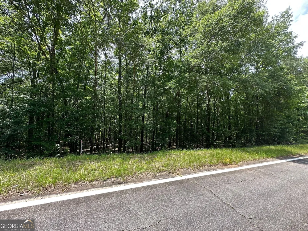 9.82 +/- ACRES Springfield RD Sparta, GA 31087