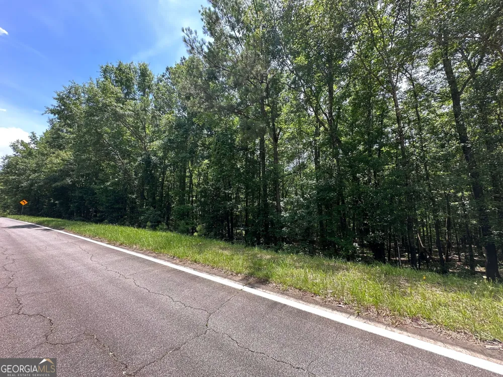 9.82 +/- ACRES Springfield RD Sparta, GA 31087