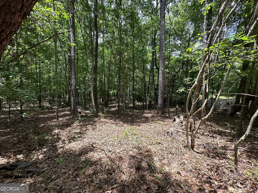 9.82 +/- ACRES Springfield RD Sparta, GA 31087