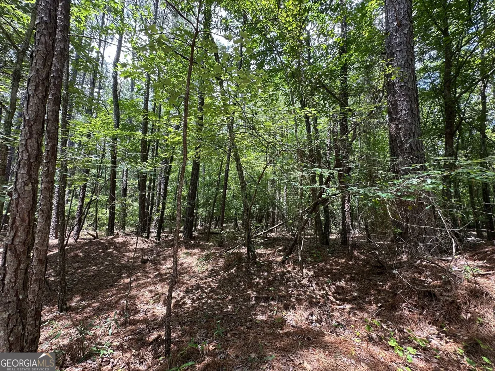 9.82 +/- ACRES Springfield RD Sparta, GA 31087