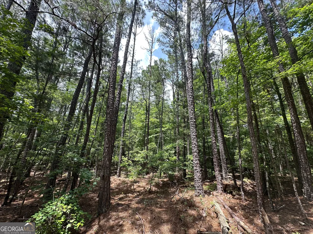 9.82 +/- ACRES Springfield RD Sparta, GA 31087