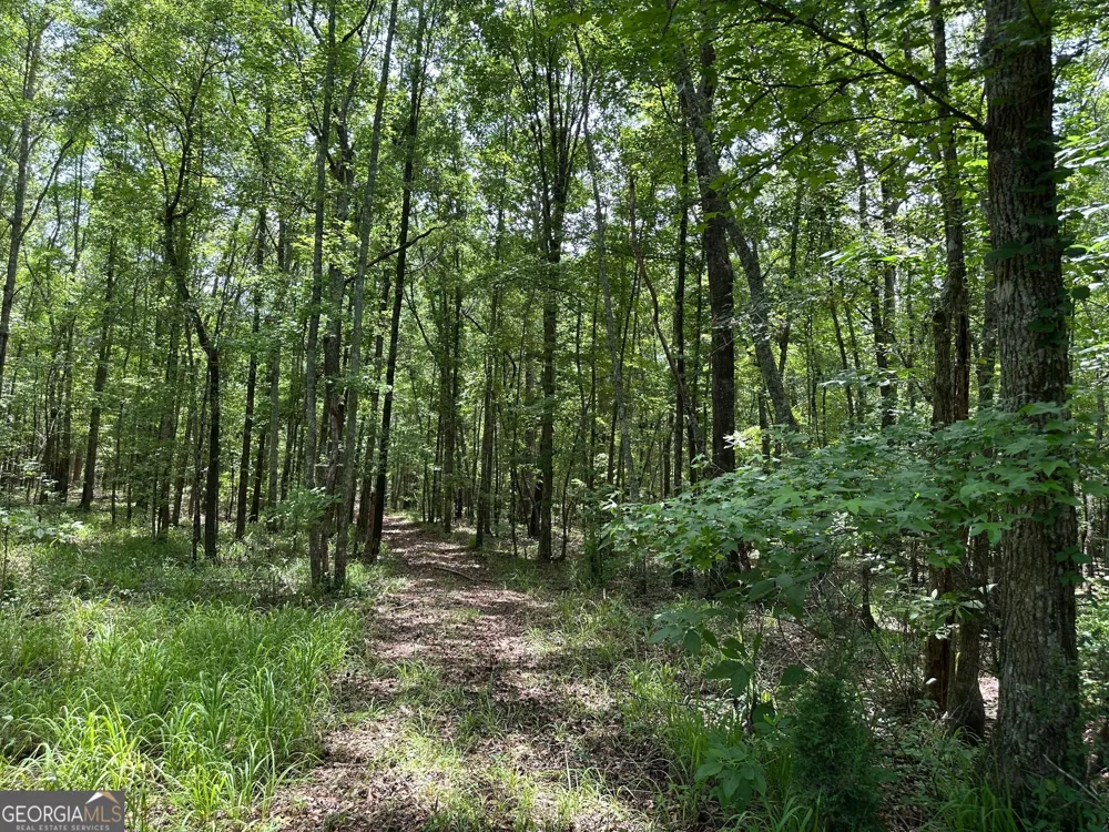 9.82 +/- ACRES Springfield RD Sparta, GA 31087