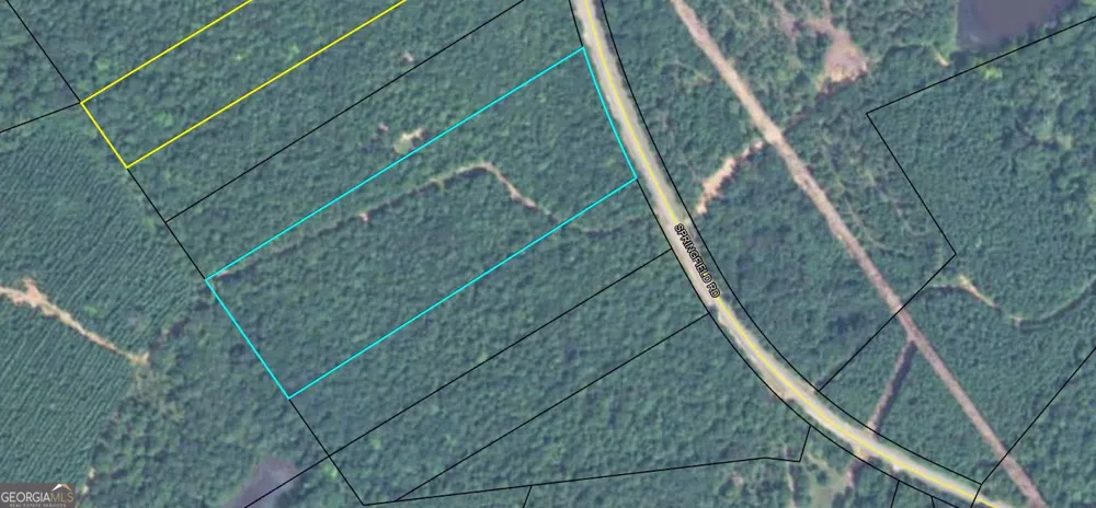 9.82 +/- ACRES Springfield RD Sparta, GA 31087