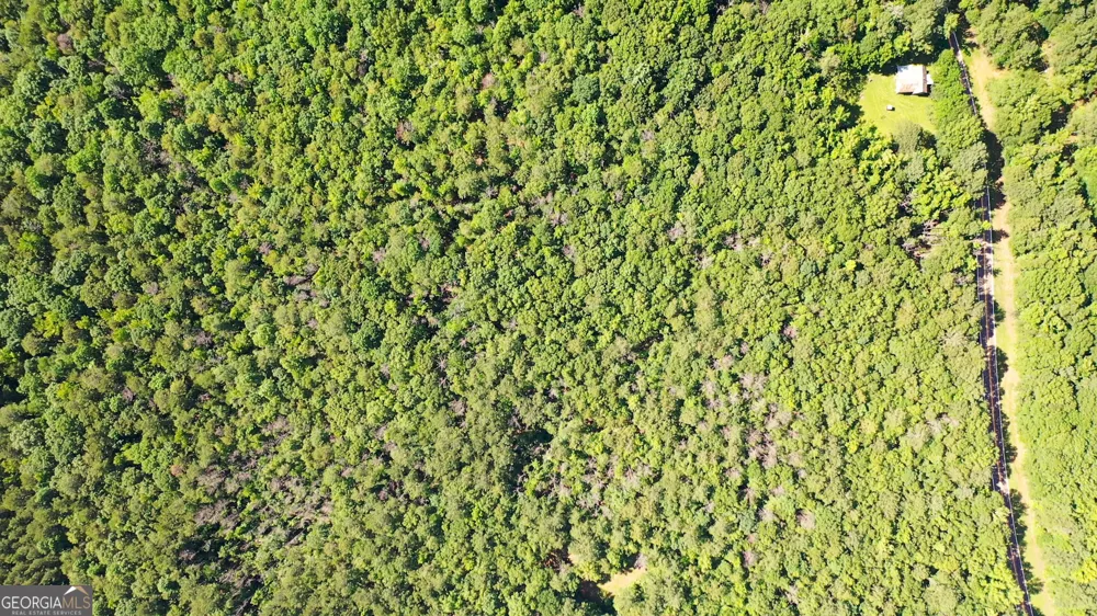 9.82 +/- ACRES Springfield RD Sparta, GA 31087