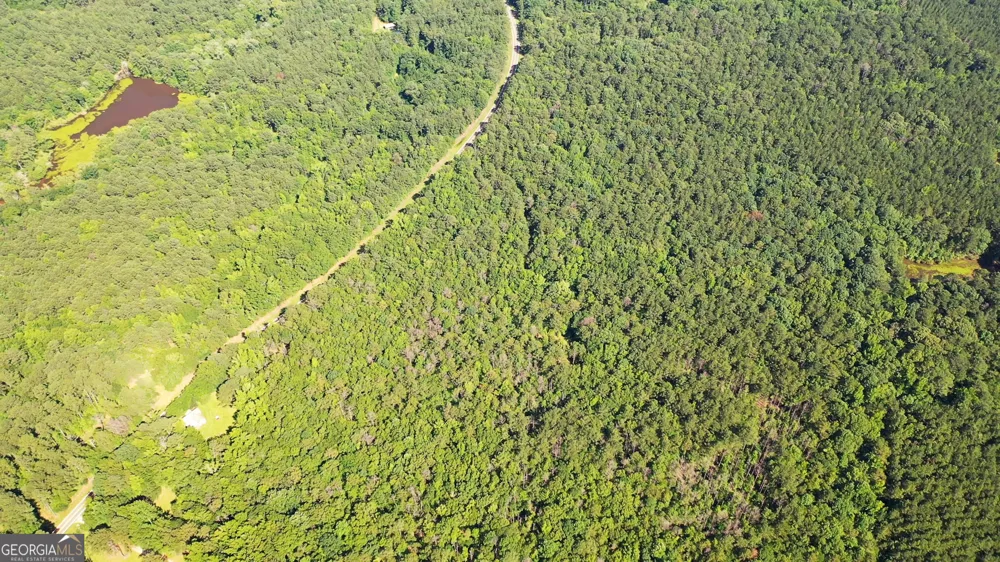 9.82 +/- ACRES Springfield RD Sparta, GA 31087