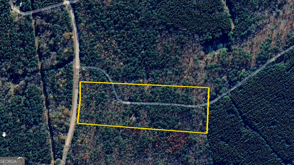 9.82 +/- ACRES Springfield RD Sparta, GA 31087