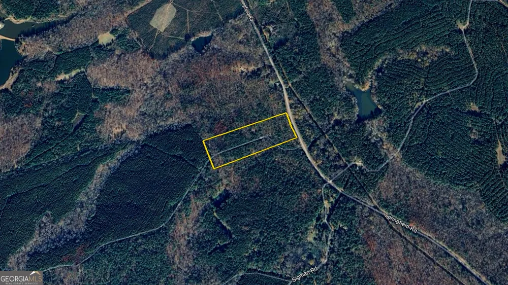 9.82 +/- ACRES Springfield RD Sparta, GA 31087
