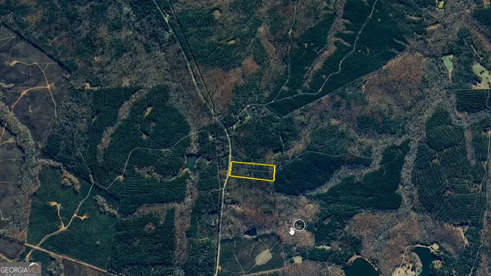 9.82 +/- ACRES Springfield RD Sparta, GA 31087