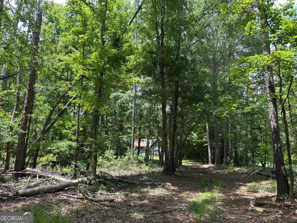 5657 Springfield RD Sparta, GA 31087