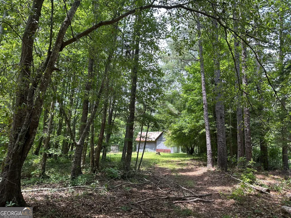 5657 Springfield RD Sparta, GA 31087
