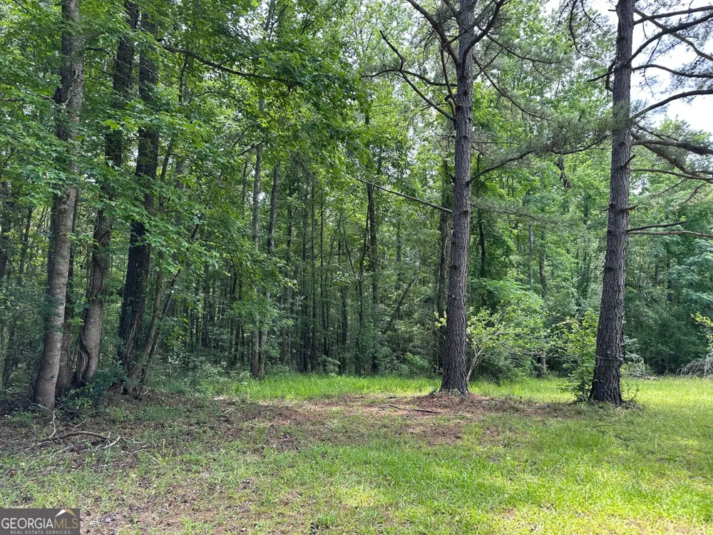 5657 Springfield RD Sparta, GA 31087