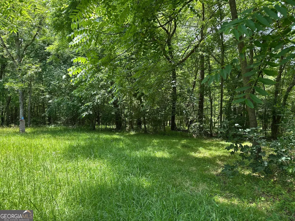 5657 Springfield RD Sparta, GA 31087