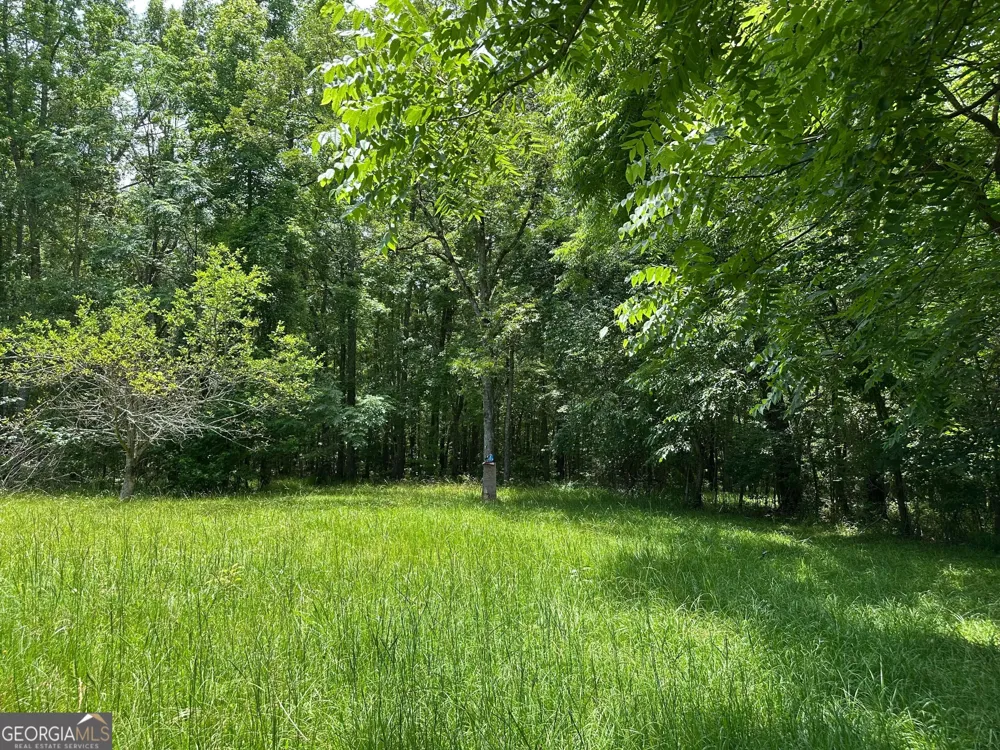 5657 Springfield RD Sparta, GA 31087
