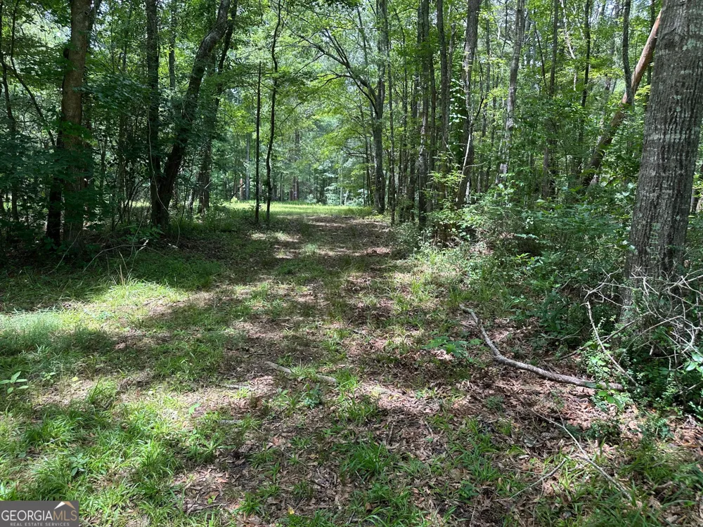 5657 Springfield RD Sparta, GA 31087