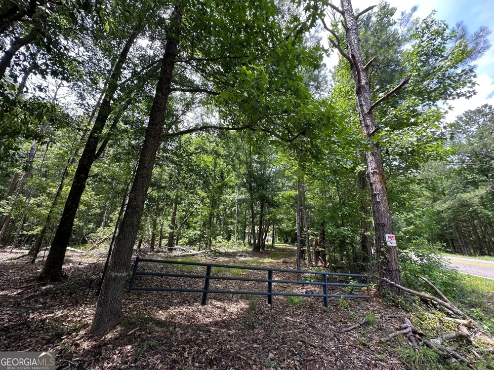 5657 Springfield RD Sparta, GA 31087