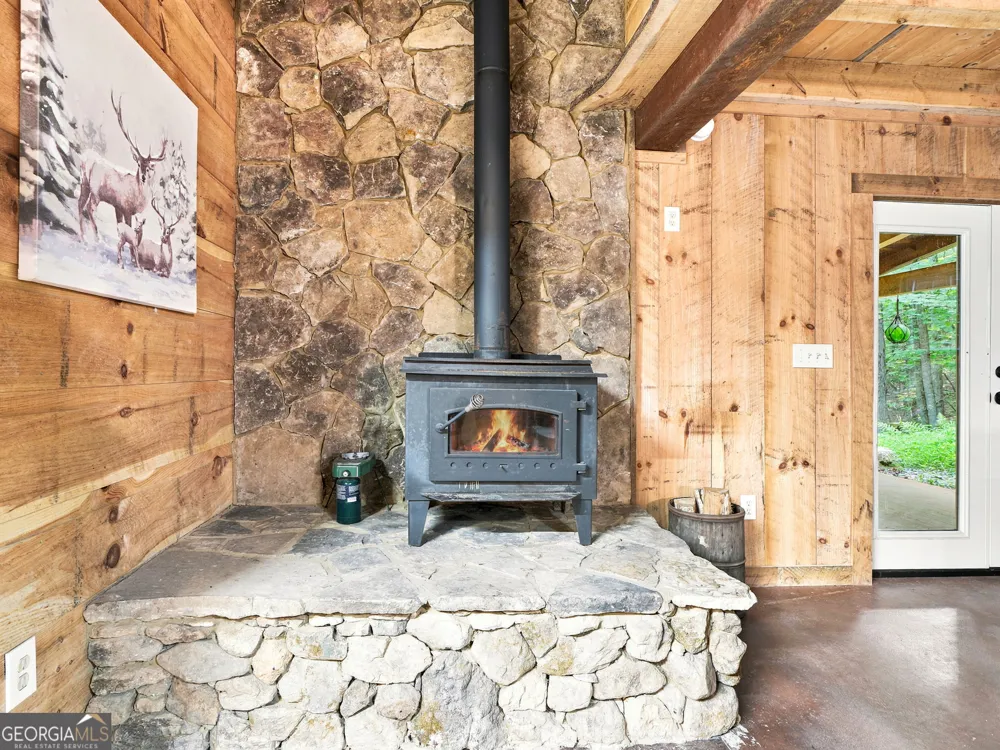 50 Pigeon Creek RD Blue Ridge, GA 30513