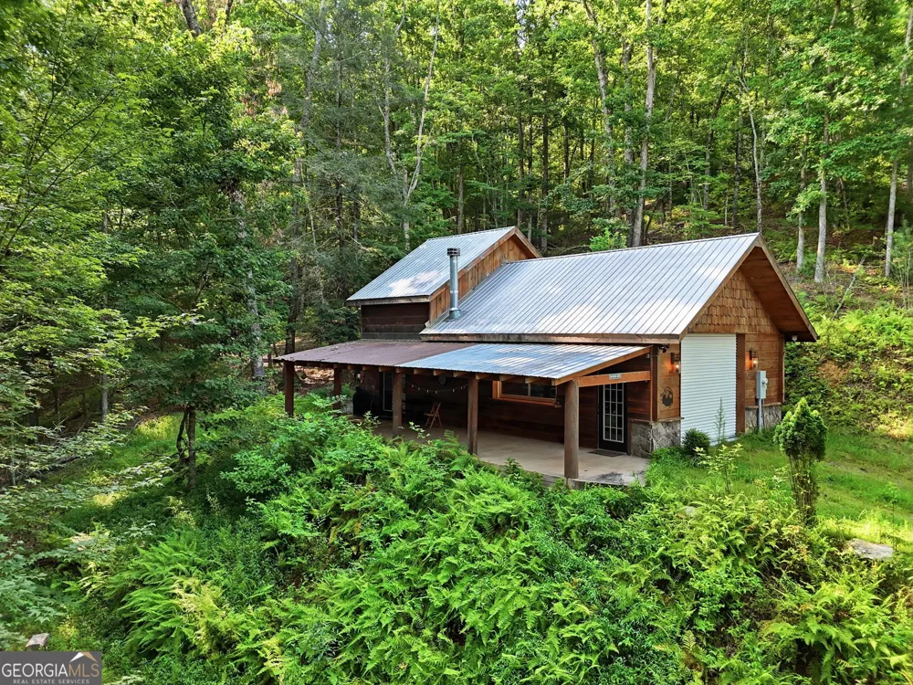 50 Pigeon Creek RD Blue Ridge, GA 30513