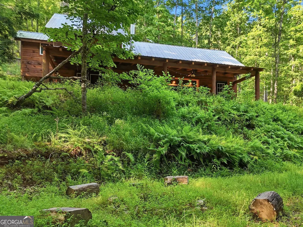 50 Pigeon Creek RD Blue Ridge, GA 30513
