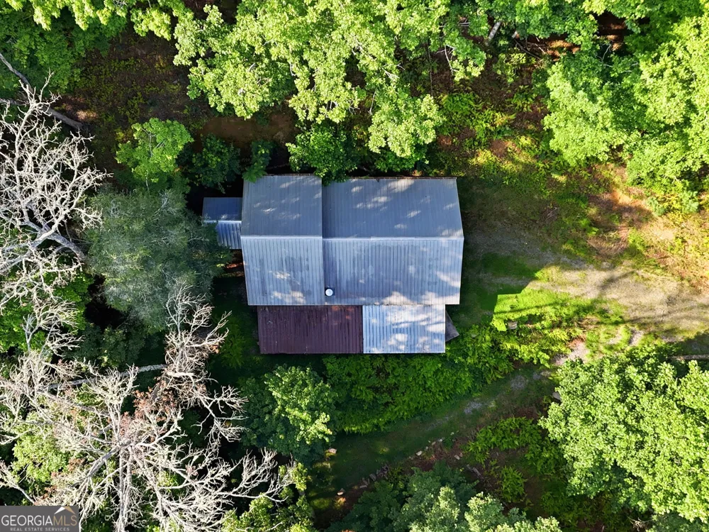 50 Pigeon Creek RD Blue Ridge, GA 30513