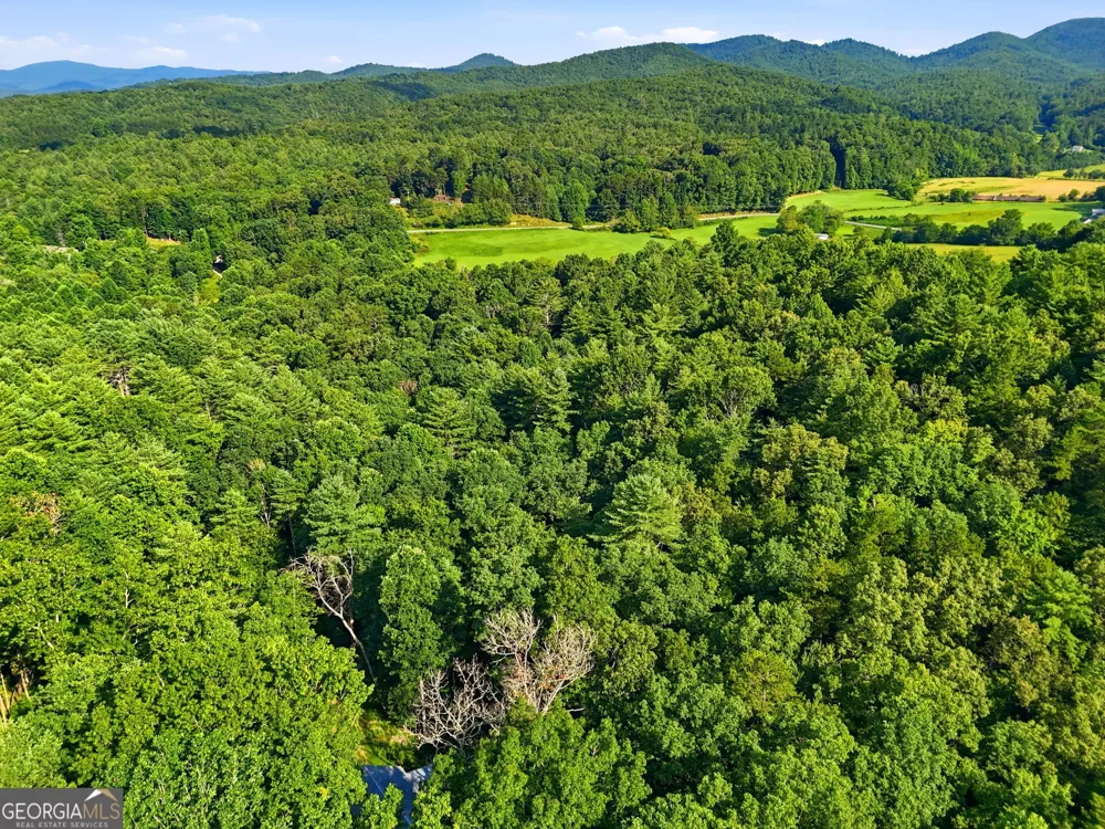 50 Pigeon Creek RD Blue Ridge, GA 30513