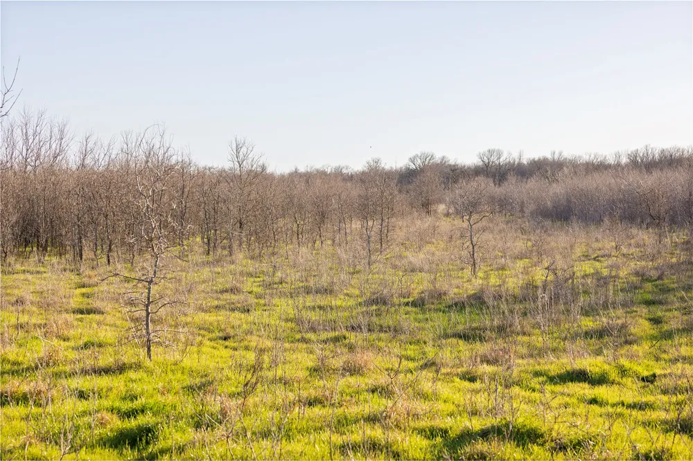 2801 County Road 436 Thrall, TX 76578