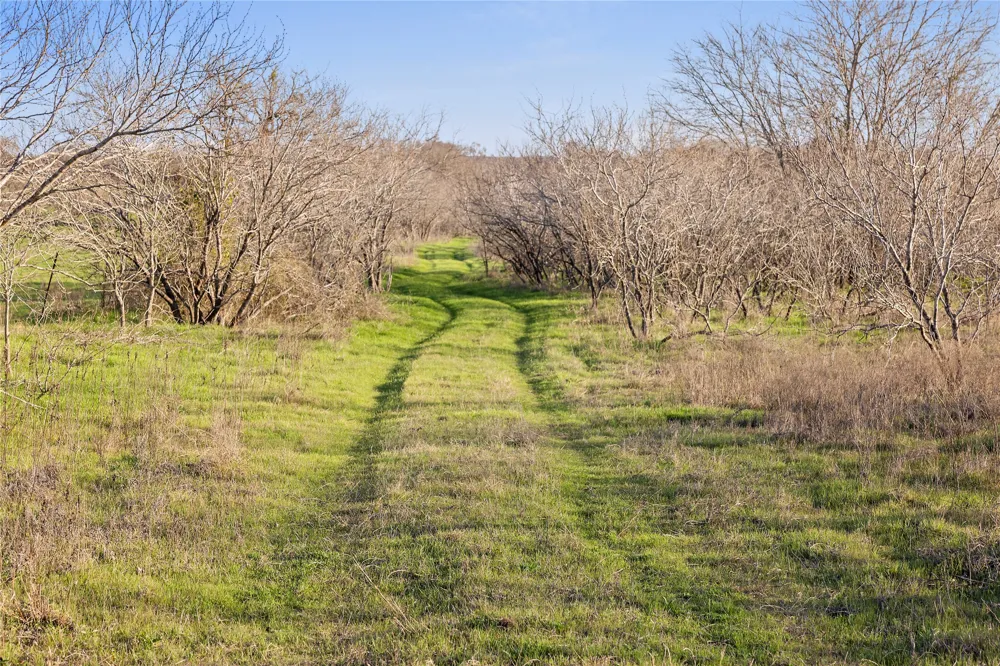 2801 County Road 436 Thrall, TX 76578