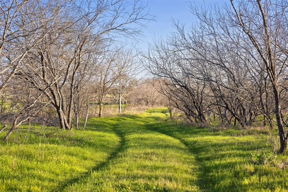 2801 County Road 436 Thrall, TX 76578