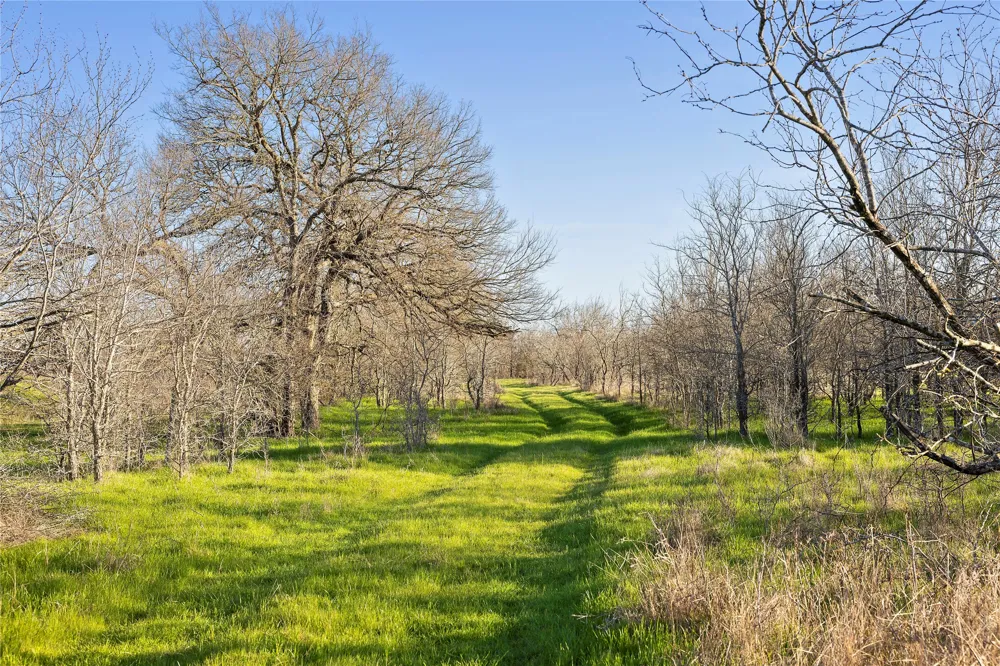 2801 County Road 436 Thrall, TX 76578