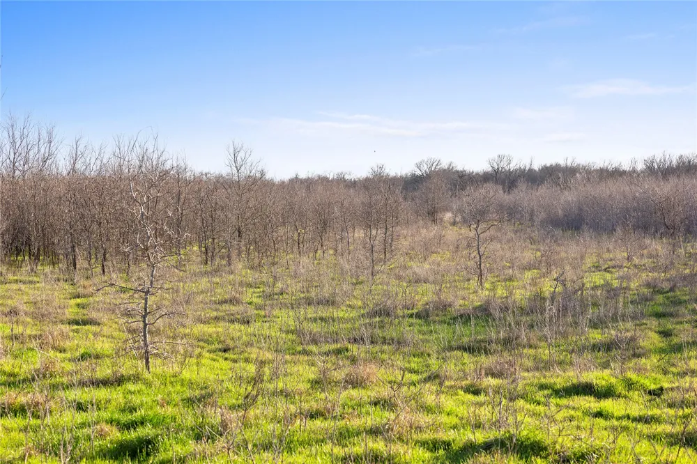 2801 County Road 436 Thrall, TX 76578