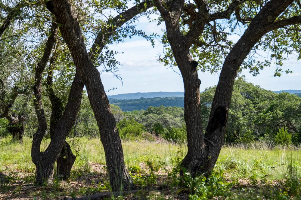 7 RR 2325 Wimberley, TX 78676