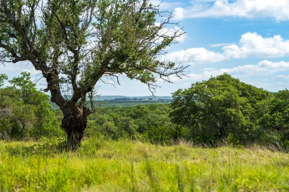 7 RR 2325 Wimberley, TX 78676