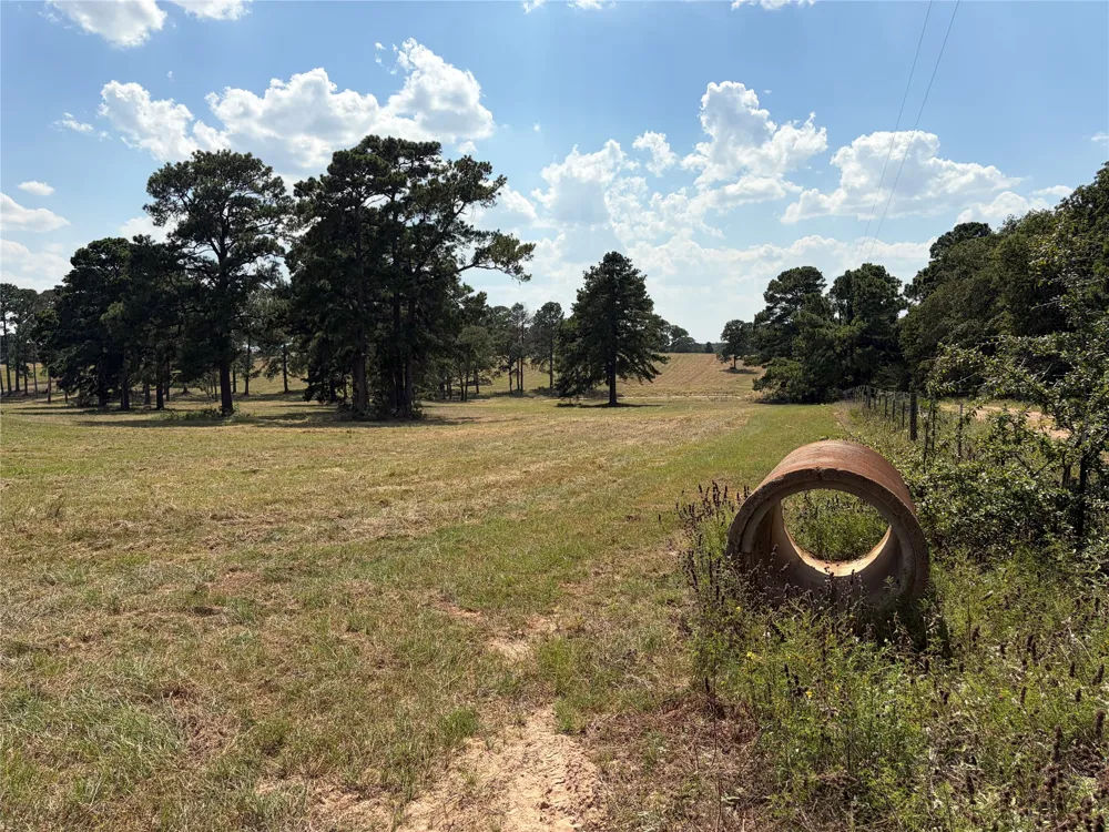 170 Split Oak Road Smithville, TX 78957