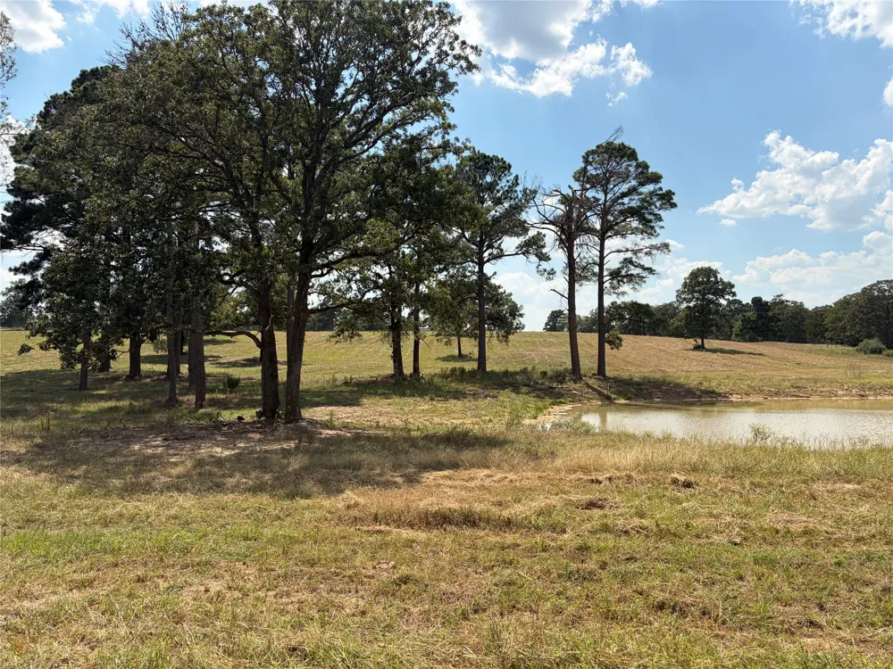 170 Split Oak Road Smithville, TX 78957
