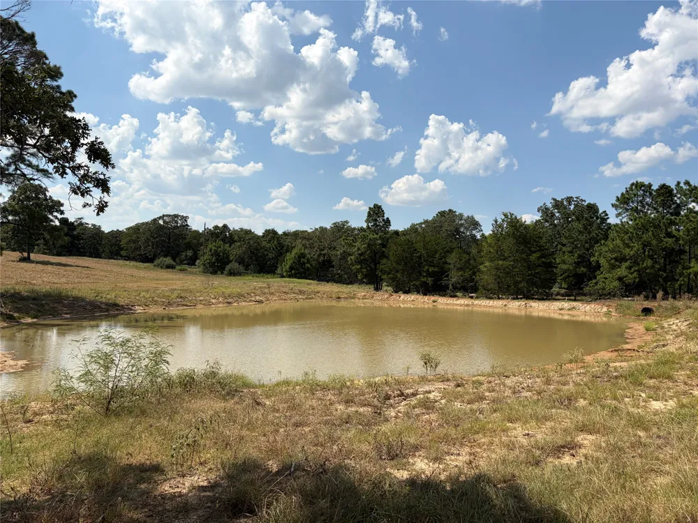 170 Split Oak Road Smithville, TX 78957