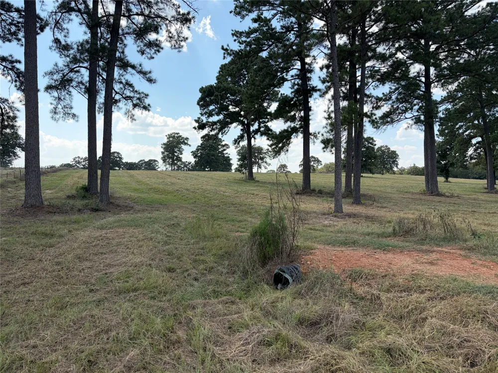 170 Split Oak Road Smithville, TX 78957