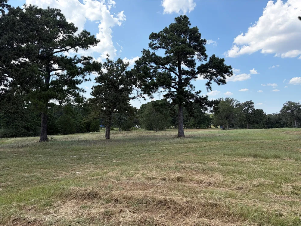 170 Split Oak Road Smithville, TX 78957