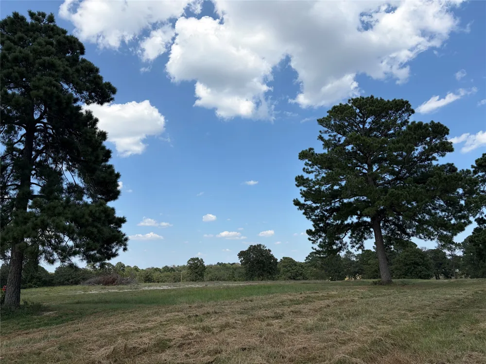 170 Split Oak Road Smithville, TX 78957