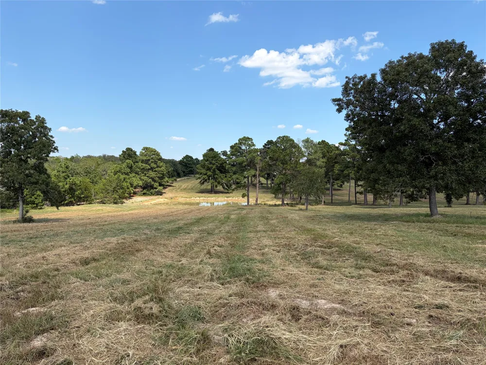 170 Split Oak Road Smithville, TX 78957