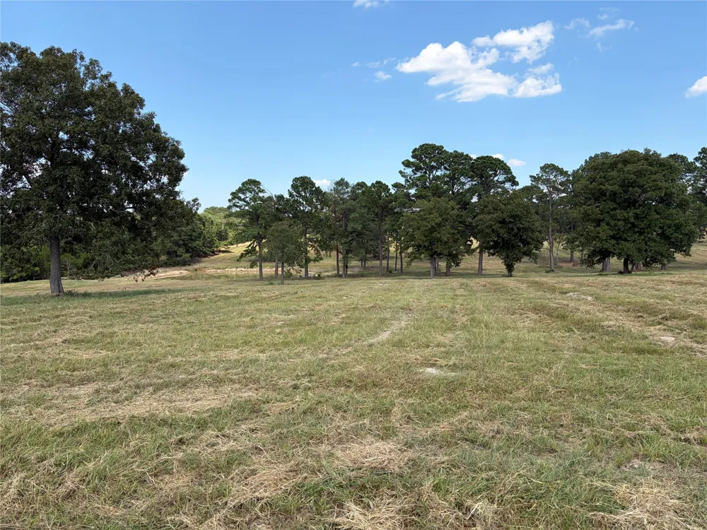 170 Split Oak Road Smithville, TX 78957