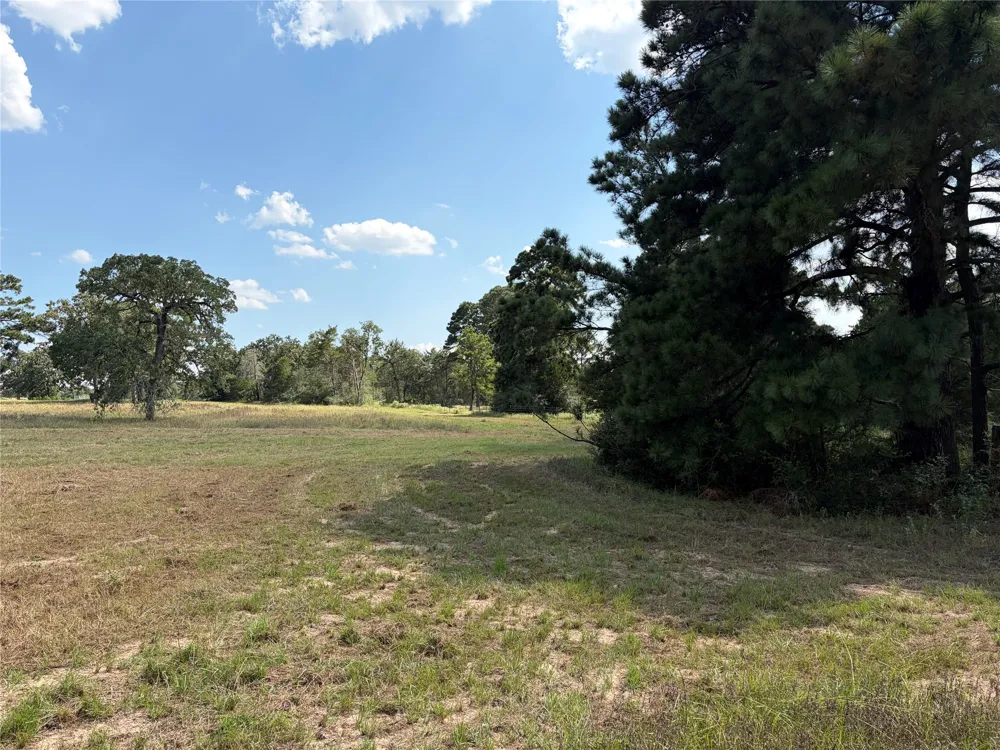 170 Split Oak Road Smithville, TX 78957