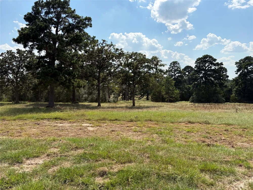 170 Split Oak Road Smithville, TX 78957