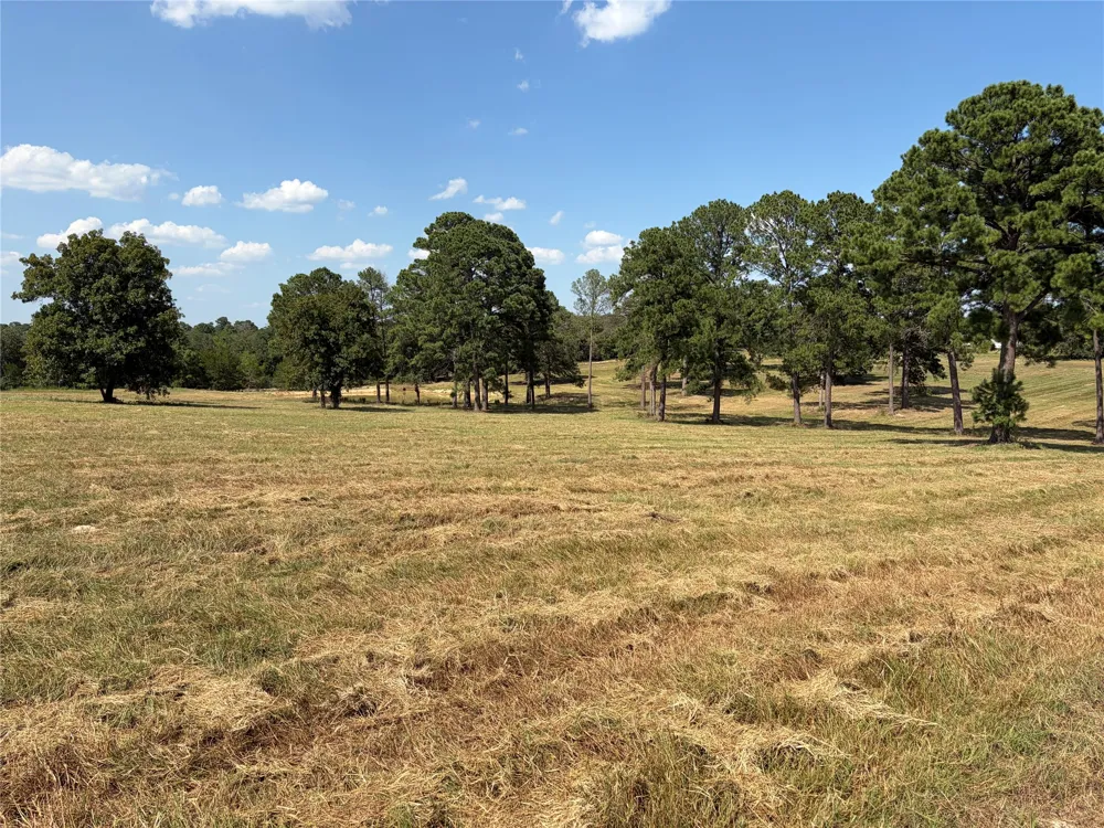 170 Split Oak Road Smithville, TX 78957