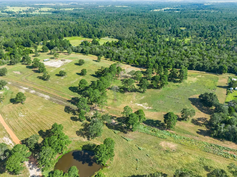 170 Split Oak Road Smithville, TX 78957