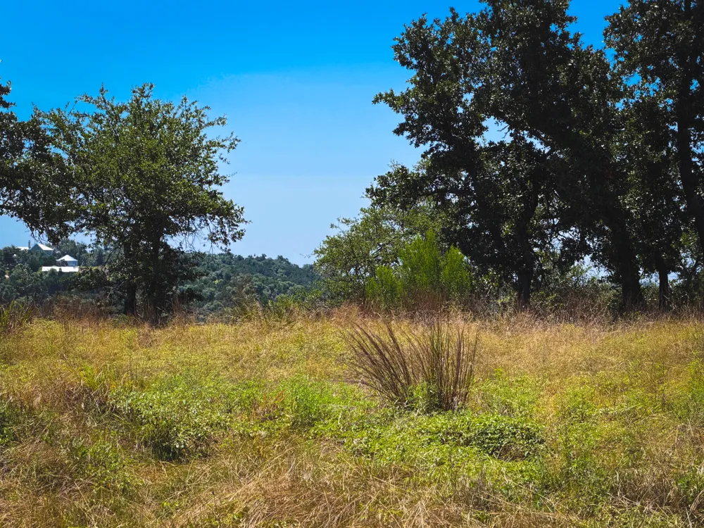 151 Falling Oak Drive Blanco, TX 78606