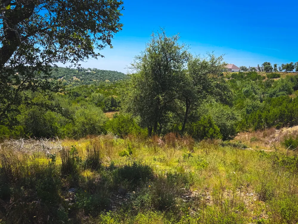 151 Falling Oak Drive Blanco, TX 78606