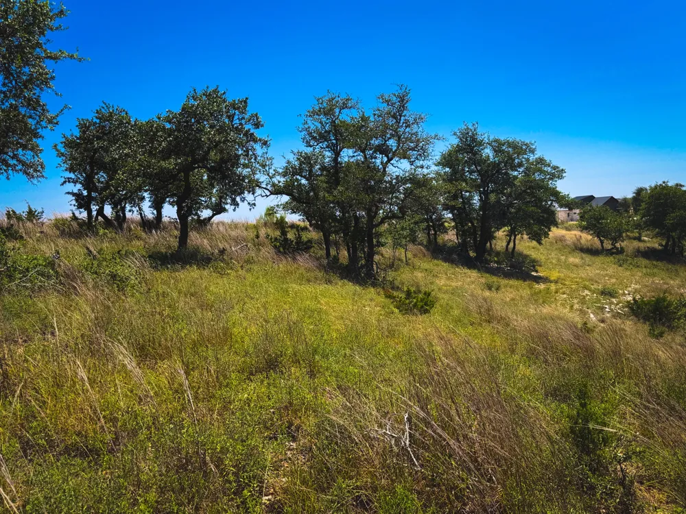 151 Falling Oak Drive Blanco, TX 78606